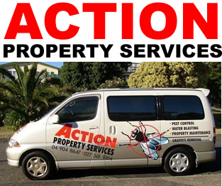 Action Property Services