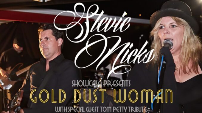 ENT - Stevie Nicks poster
