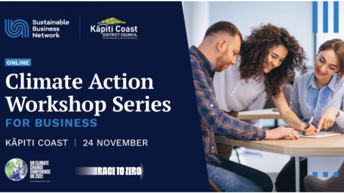 BIZ - climate workshop
