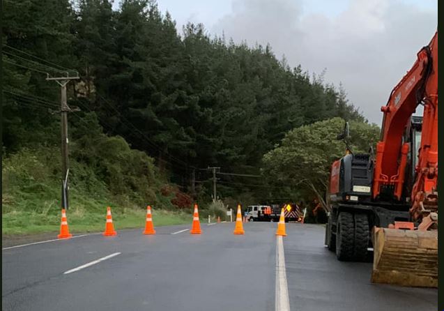 Dangerous trees close Reikorangi Road – KC News – News from the Kāpiti ...