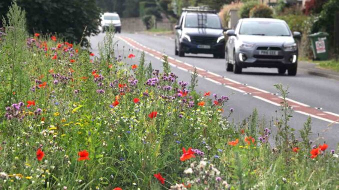 ENV - TRANPORT - flowers slow down drivers