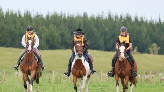 SPORT - Otaki Equestrian 1