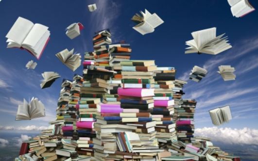 COM - Lions Book fair pile