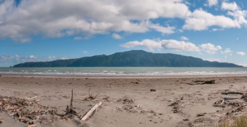 Skull Beach