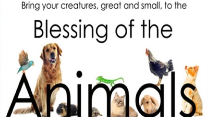 BLESSING of the Animals